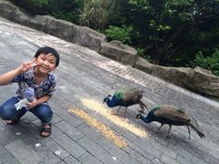 -东部华侨城