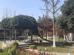 -洪湖家庭农场·团建·露营·会议