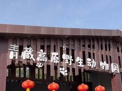 -青藏高原野生动物园