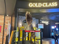 -CGV影城(壹方城IMAX店)