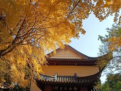 -郑和公园