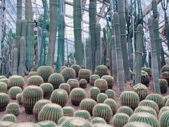 -南山植物园