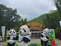 -紫藤园·天目湖大鱼头(南山竹海店)