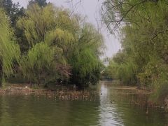 -柯岩风景区