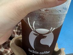 -瑞幸咖啡(广东外经贸大厦店)