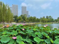 -西海子公园