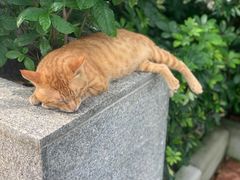 -彳亍咖啡·这里(水湾路店)