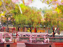 -宝墨园景区