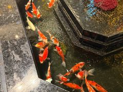 -九号温泉生活馆