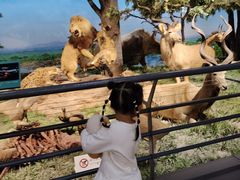 -国家自然博物馆