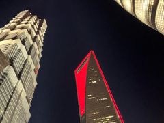 -上海柏悦酒店