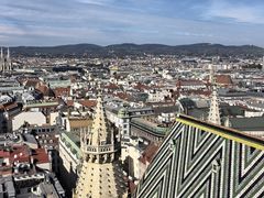 -斯蒂芬主教座堂(Stephansdom)
