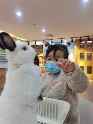 -Moni星球萌宠·小马宝莉·灵蛇·高端高阶全萌宠互动体验俱乐部(红豆国际广场店)