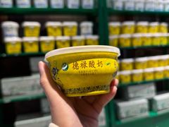 -德禄酸奶(莫家街店)