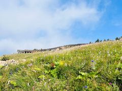 -白草畔自然风景区
