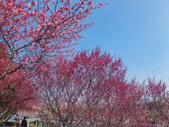 -白塘生态植物园
