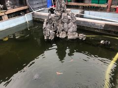 -寻味肇庆·八姑农庄·广府西江菜
