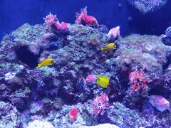 -成都浩海立方海洋公园