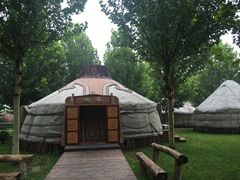 -九十九顶毡房(阜石路店)