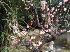 -钟山体育运动公园