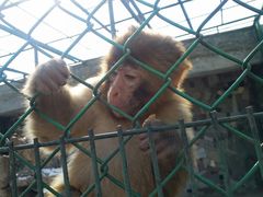 -宿豫区运河湾森林动物园