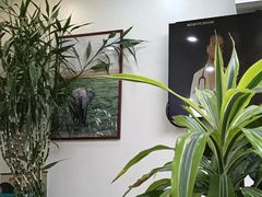 -美联众合动物医院·24h转诊中心