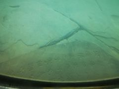 -白鹤梁水下博物馆