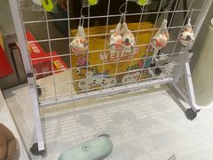 -春润大地海南椰子鸡(沙井京基百纳广场店)