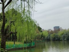 -黄兴公园