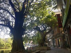 -小洲村