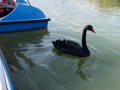 -昆山城市生态森林公园