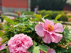 -大钟寺古钟博物馆