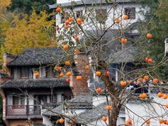 -篁岭景区