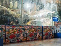 -帝企鹅自助餐厅•儿童岛•真企鹅(长隆企鹅酒店)