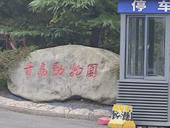 -青岛动物园