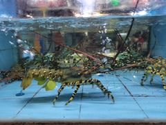 -渔人湾码头海鲜市场负二楼