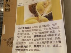 -都念榴莲·城市榴莲