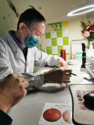 -北京市东城区妇幼保健院(南院区)