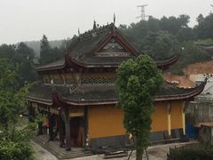 -铁山坪森林公园