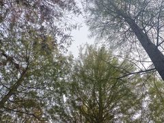 -泗洪洪泽湖湿地景区