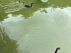 -厦门悦华酒店·绿庭主题自助餐厅