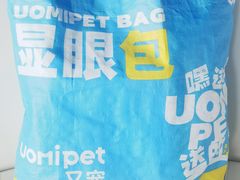 -猫猫幼稚园·撸猫·桌游·电玩