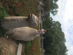 生态园-祥源·阜阳生态乐园