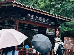 -武夷山风景名胜区-玉女峰