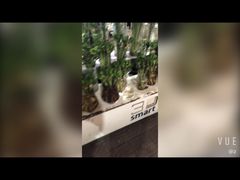 -长宁东道花卉宠物市场