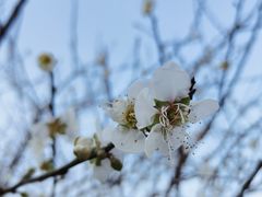 -广州市流溪河国家森林公园