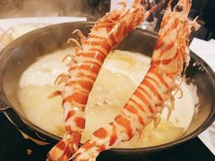 -鲜入围煮花胶鸡海鲜火锅