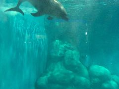 -福州罗源湾海洋世界旅游区