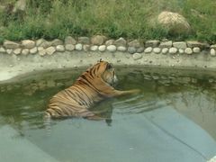 -西安秦岭野生动物园