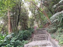 -广州市帽峰山景区
